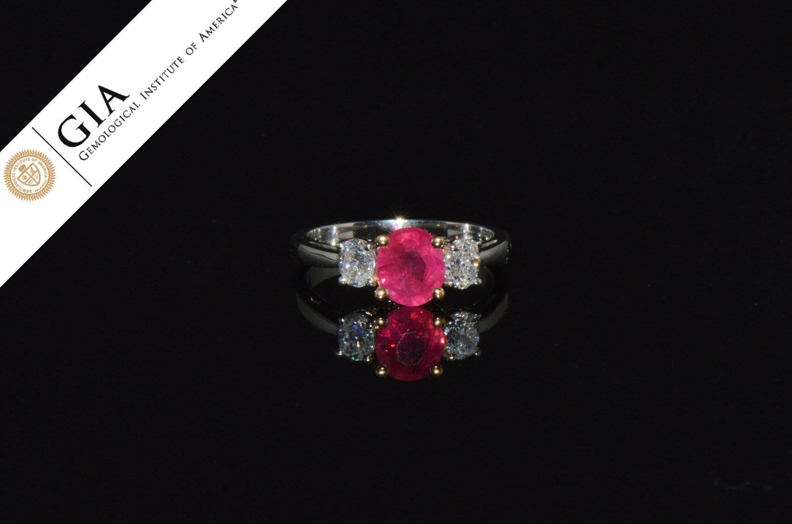 GIA Natural 1.83Cts Ruby Diamond Solid 950 Platinum 18K Gold Three Stone Engagement Ring