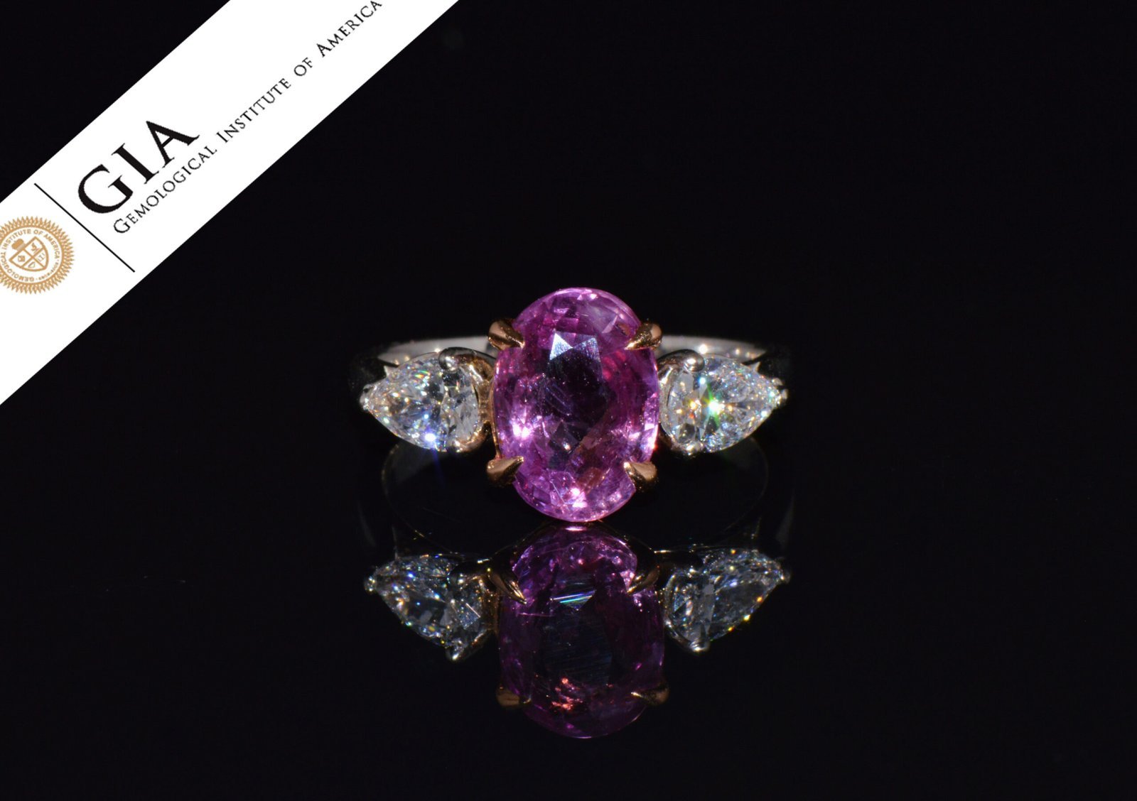 GIA Natural 3.88CTS VVS D Diamond Pink Sapphire Platinum 18K Gold Engagement Ring