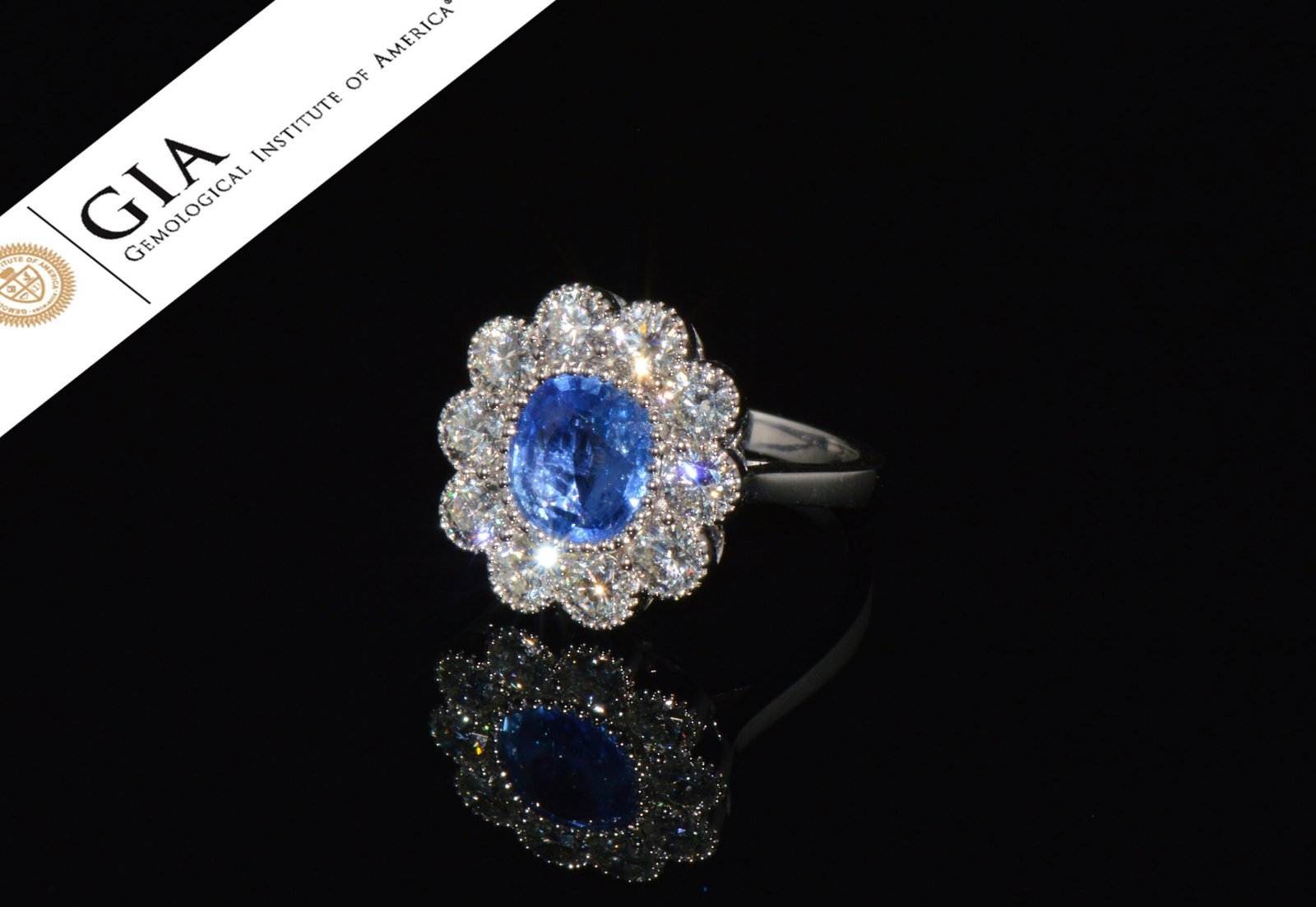 GIA Natural 3.78CTS VS F Diamond Royal Blue Sapphire 18K Gold Dinner Halo Ring