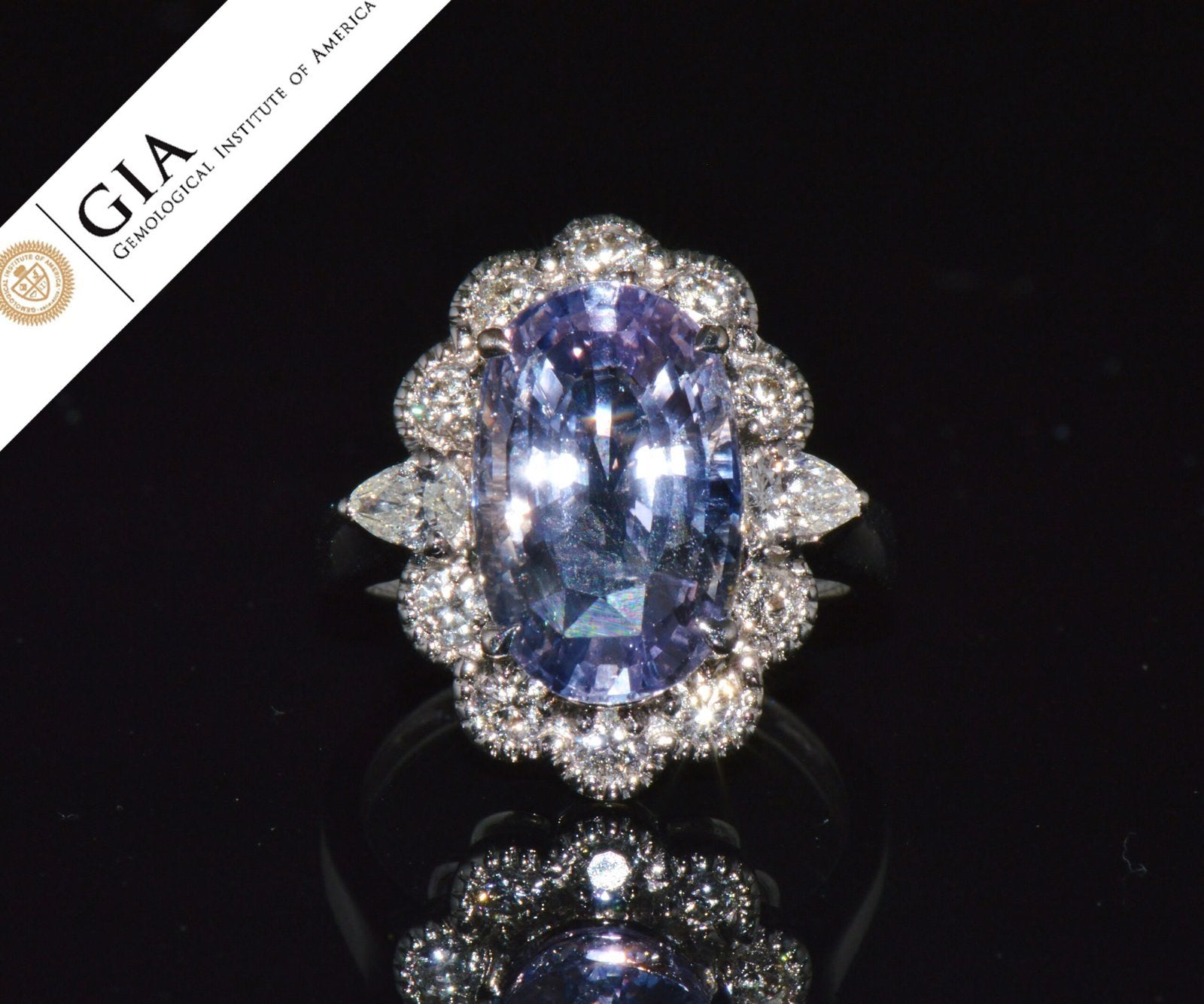 GIA Natural 9.66CTS VS F Diamond No Heat Sapphire 18K Gold Dinner Halo Ring
