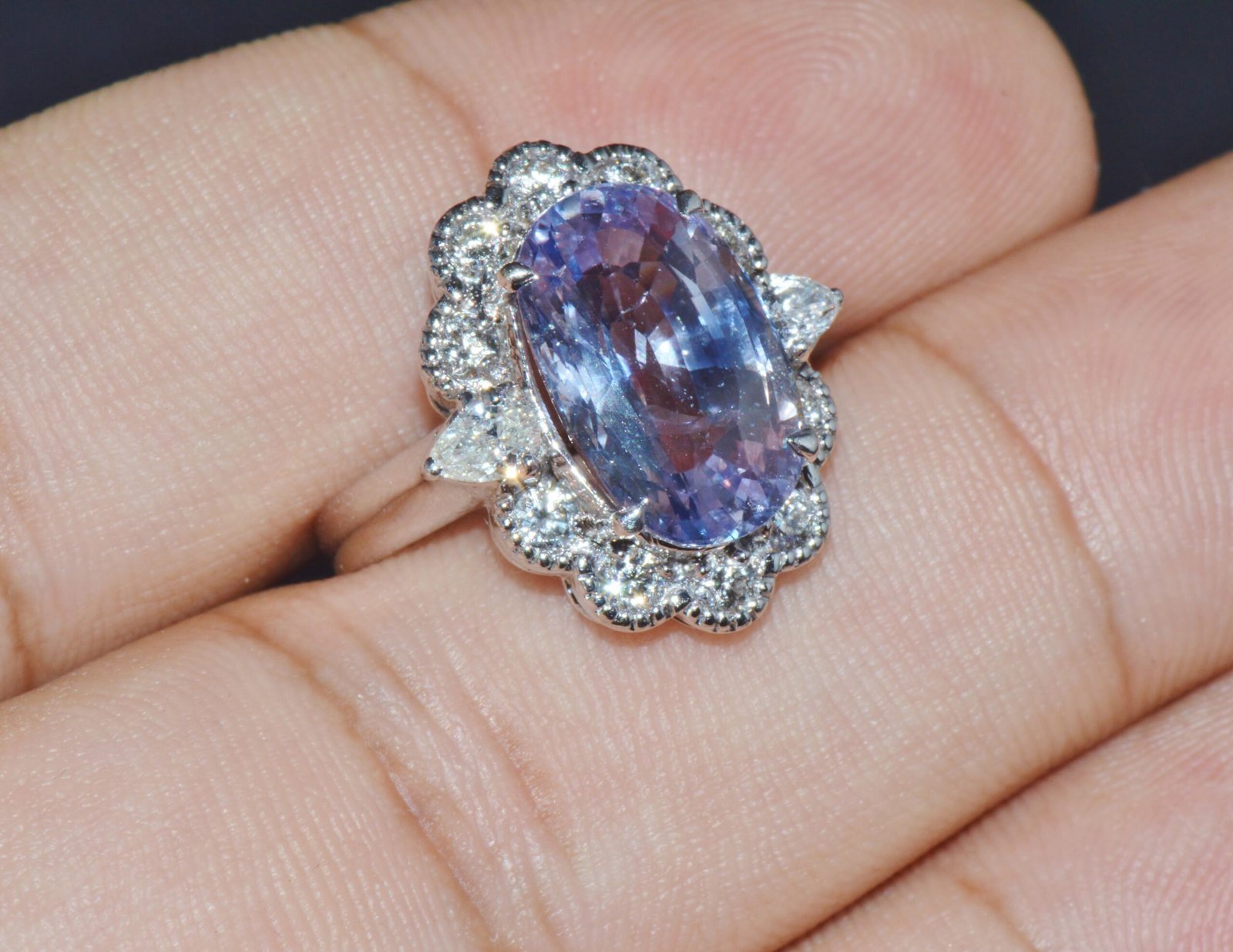 GIA Natural 9.66CTS VS F Diamond No Heat Sapphire 18K Gold Dinner Halo Ring
