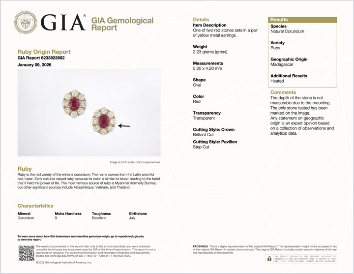 GIA Natural 2.12CTS VS F Diamond Madagascar Ruby 18K Gold Cluster Halo Earrings